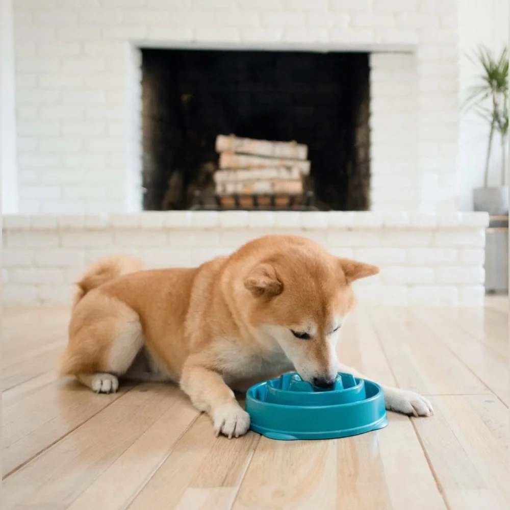 NWT Outward Hound Fun Feeder Slo Bowl